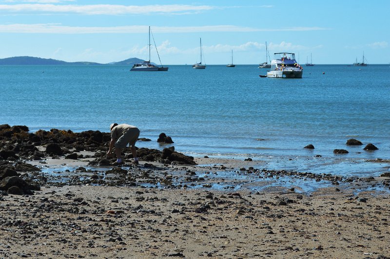 10Airlie (15).JPG - Shingley Beach